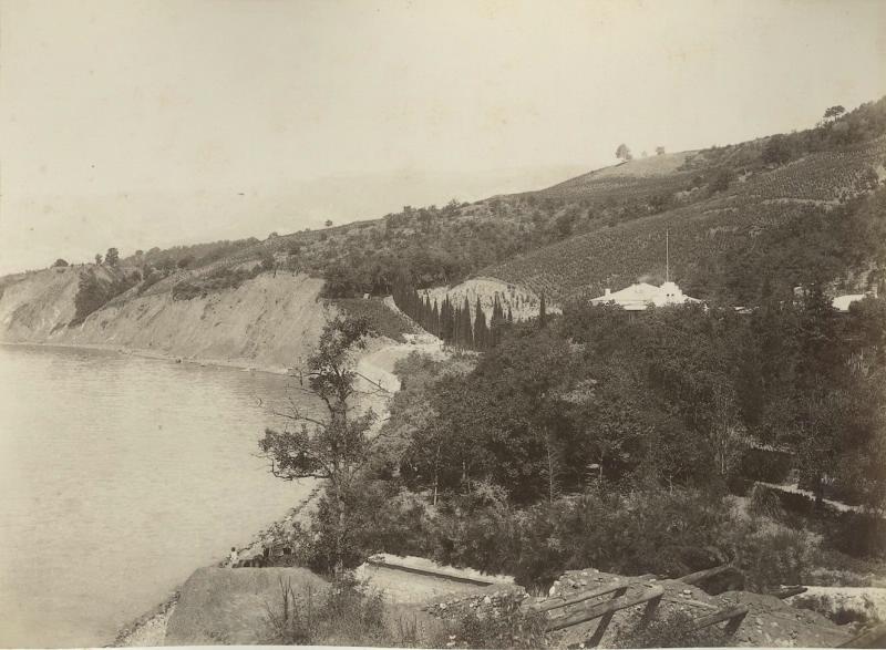 Вид на море, 1890-е
