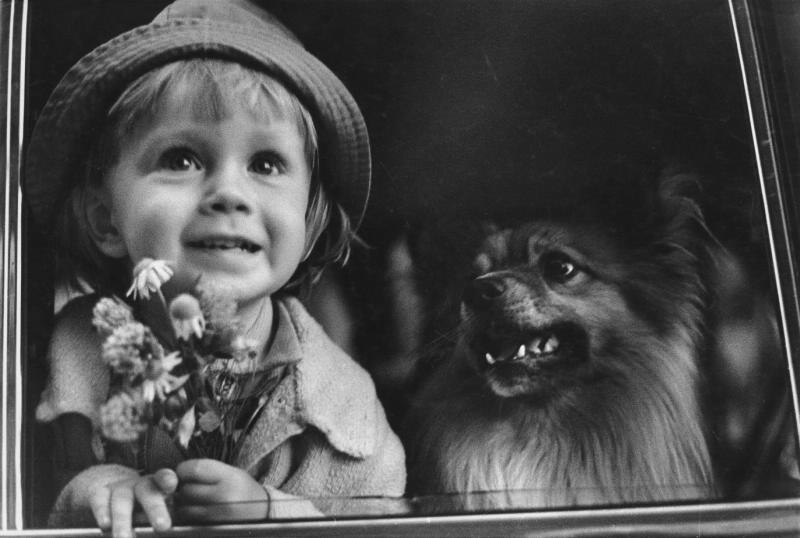 «Друзья», 1972 год. Выставки&nbsp;«Гав!», «"Каждой собаке – породистого хозяина!"»&nbsp;и&nbsp;видео «Настоящее счастье Нины Свиридовой и Дмитрия Воздвиженского» с этой фотографией. 