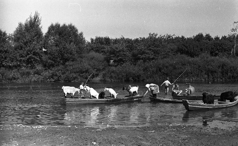 Сценки на реке, 1960-е