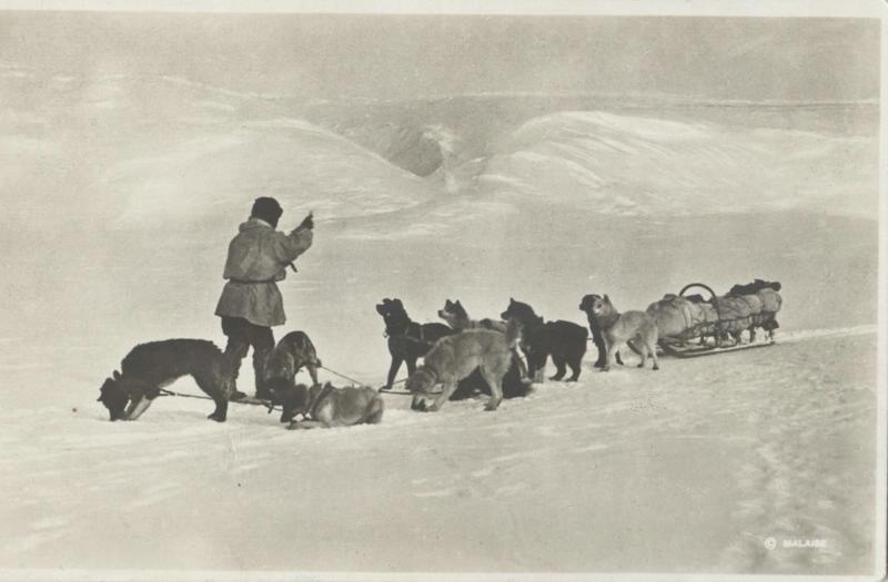 Нарта на Камчатке. Собак подкармливают сушеной рыбой на дорогу, 1930-е, Камчатская обл.