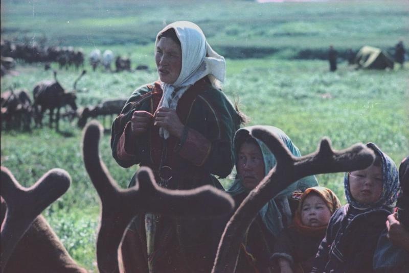 Фото Женщины, дети и олени, 1965 год, Архангельская обл, Ненецкий НО