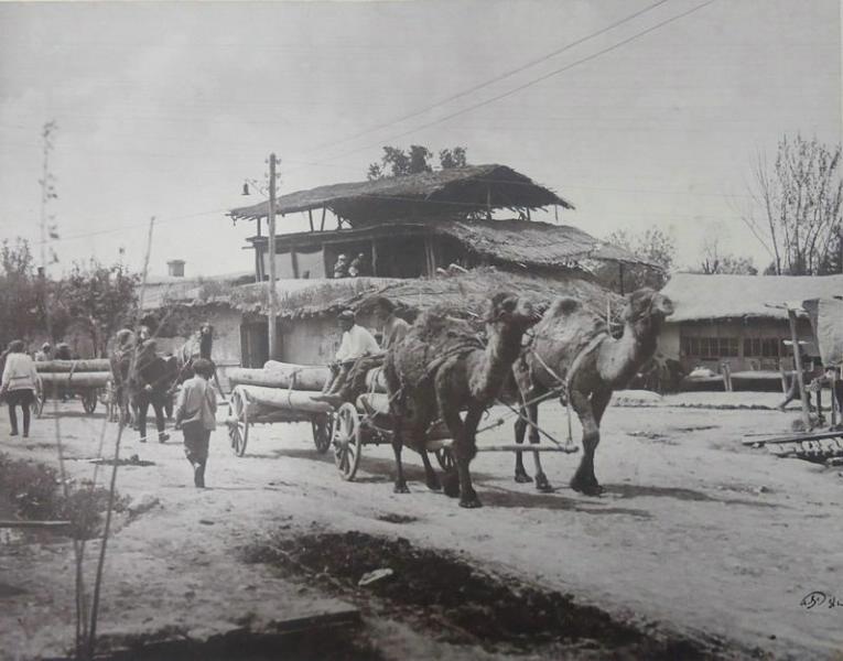 Верблюжья упряжка на улице старого города, 1931 год, Таджикская ССР, г. Сталинабад. В 1961 году возвращено название Душанбе.