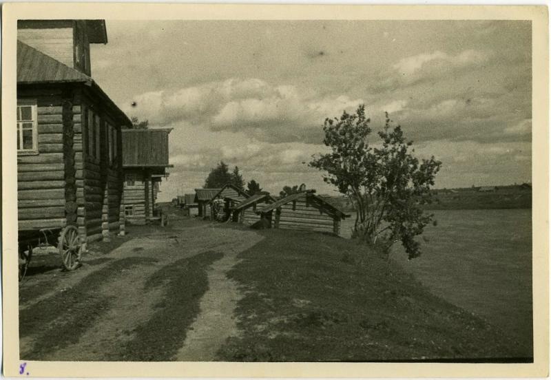 Деревня Кашникова, 1920-е, Вологодская губ., Каргопольский у., дер. Кашникова. Река Онега.
