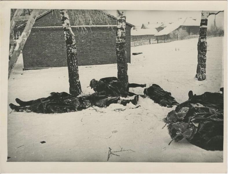 Жертвы фашизма, 1941 - 1945