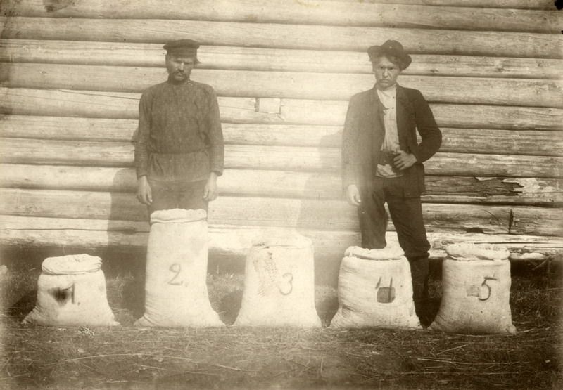 Сельское хозяйство Череповецкого уезда, 1913 год, Новгородская губ., Череповецкий у.