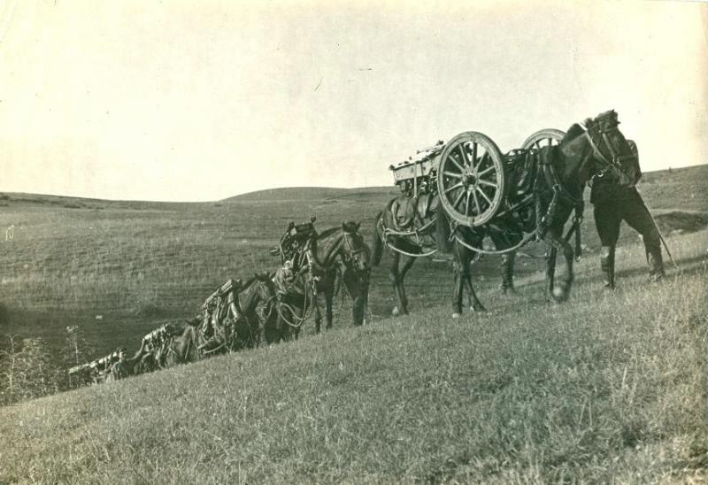 Лошади, навьюченные боеприпасами, 1930-е
