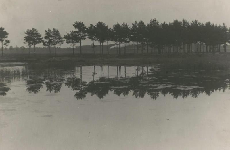 Сосны на берегу, 1930-е
