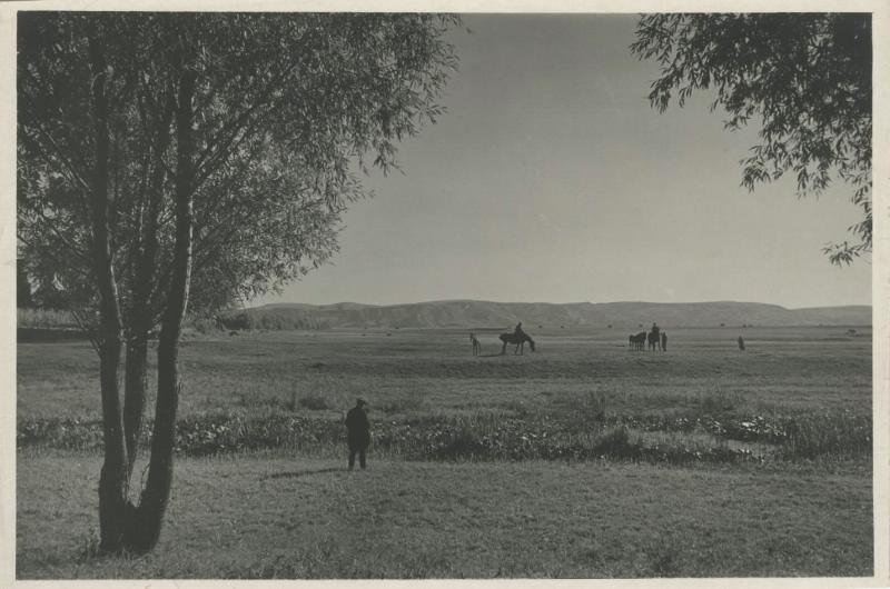 На лошадях, 1935 - 1939, Украинская ССР