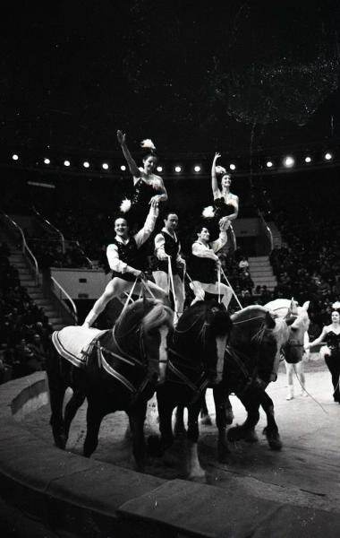 Акробаты-вольтижеры на лошадях Запашные, 1967 - 1969. Видео «Слоны и тигры Мстислава Запашного» с этой фотографией.&nbsp;