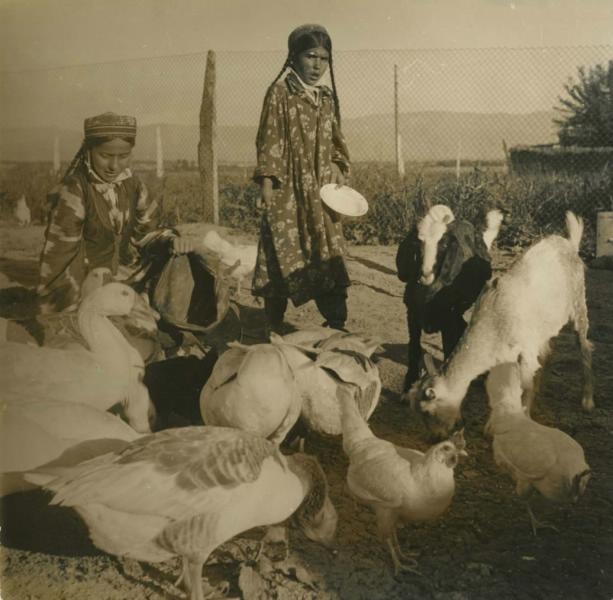 «Семья Раджабовой. Работа в большой семье есть для всех», 1955 - 1961, Таджикская ССР