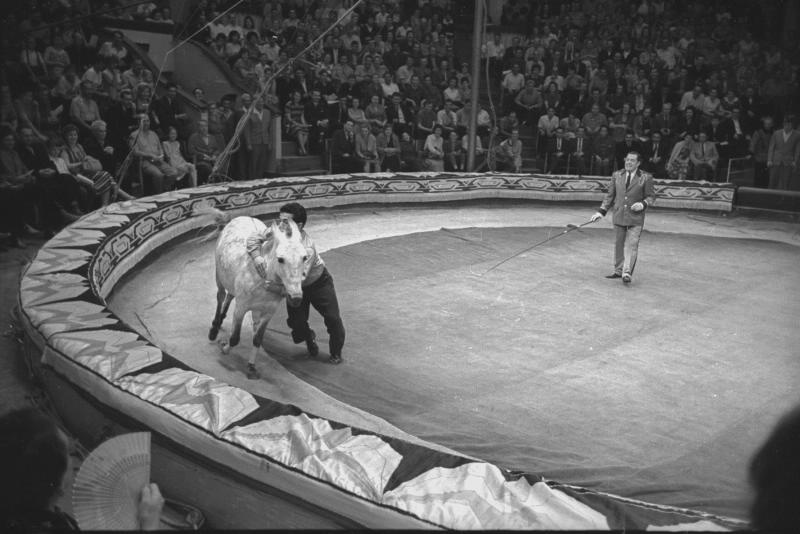 Цирковой номер, 1950-е, г. Москва