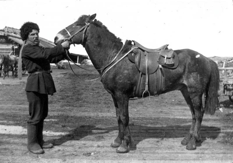 Русско-японская война. Кавалерист, 27 января 1904 - 23 августа 1905, г. Владивосток