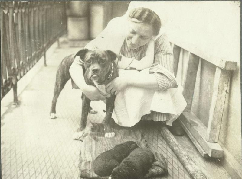 Портрет медсестры с собакой, 1914 - 1918, Россия. Выставка «"Каждой собаке – породистого хозяина!"» c этой фотографией.