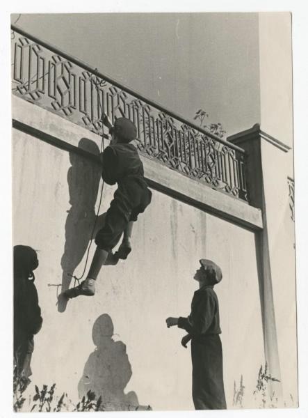 Юные альпинисты, 1950-е. Выставка «Самые дорогие и любимые» с этой фотографией.&nbsp;