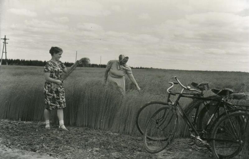 Женщины на поле, 1960 - 1965