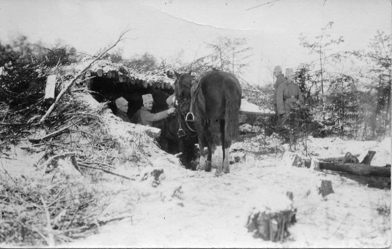 Конюшня, выстроенная на позиции, 1915 год