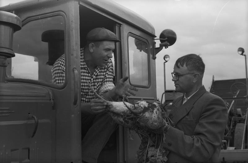 «Разговор о кормовой свекле», 1955 - 1965. Мужчина сидит в тракторе ДТ-54.