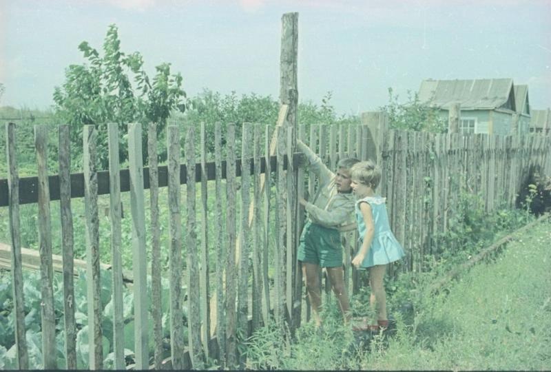     Фото Дети около забора на дачном участке, 1967 год, Волгоградская обл., г. Волжский  История России в фотографиях