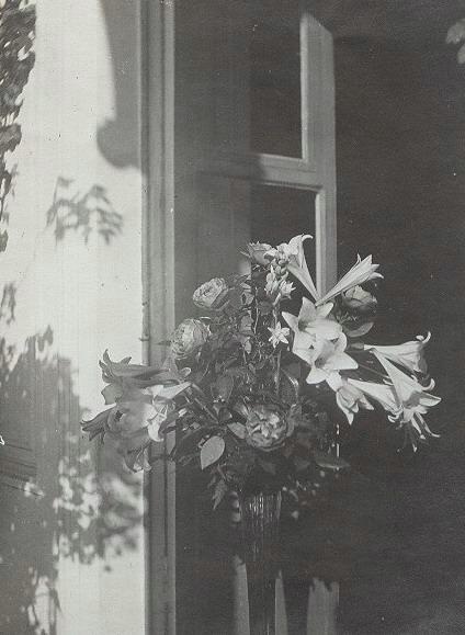 Цветы, 1900-е