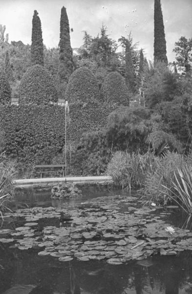 Никитский Ботанический сад, 1930-е, Крымская АССР, г. Ялта. Выставка «Никитский ботанический сад» с этой фотографией.&nbsp;