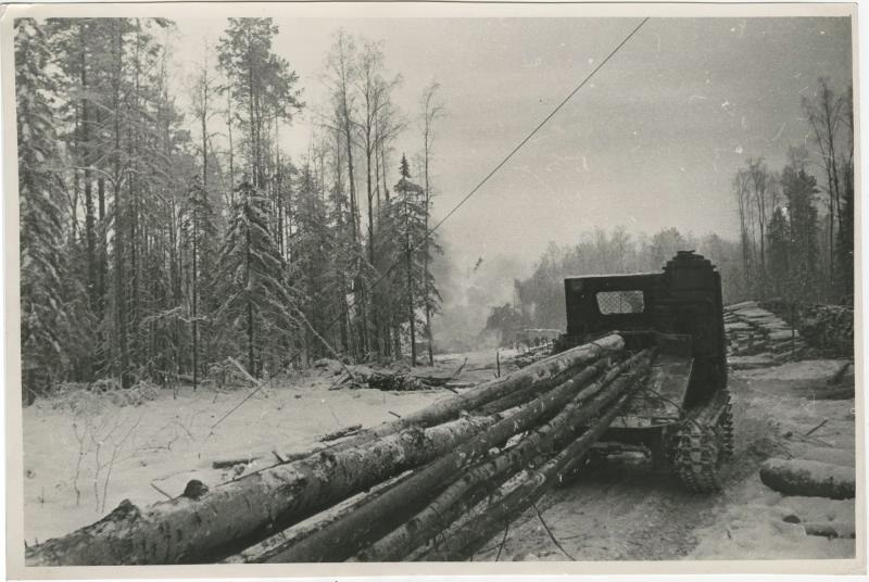 Без названия, 1960-е