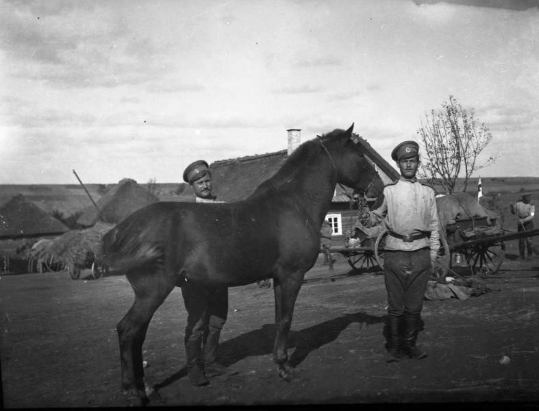 Военные около лошади, 1900-е