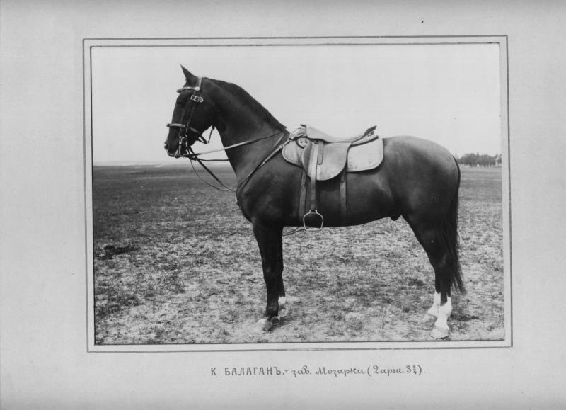 Конь Балаган, 1910-е