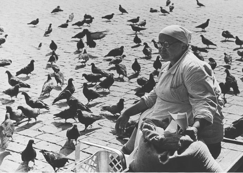 Голуби. Продавщица семечек, 1965 год, г. Москва