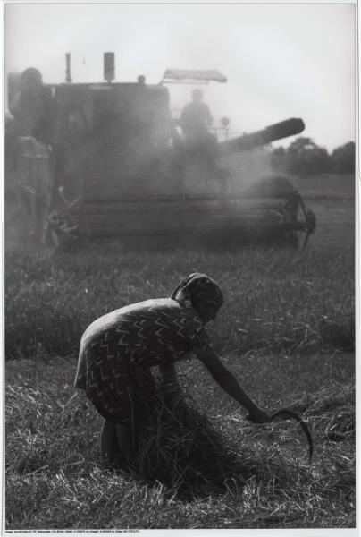В поле. Из серии «Хлеб наш насущный», 1972 год