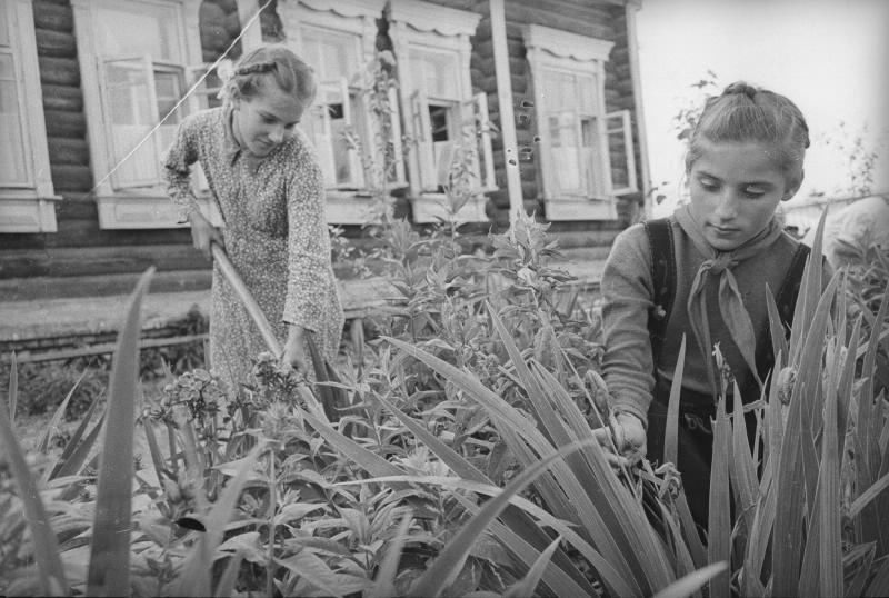 На станции юных натуралистов, 1944 год, г. Москва, Октябрьский р-н