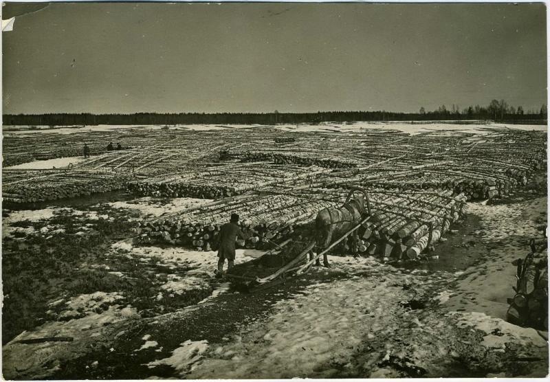 Кошмы леса, заготовленные и свезенные в долину реки для весеннего сплава, 1920-е