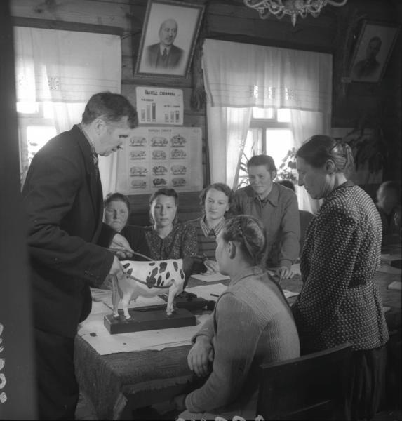 В доме сельхозкультуры. Занятие в аудитории животноводства, 4 января 1954 - 31 мая 1954, Московская обл., Бронницкий р-н. Рыболовский сельсовет.&nbsp;
