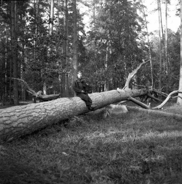 Мотя в Сокольниках на поваленном дереве, 1904 год, г. Москва, Сокольники