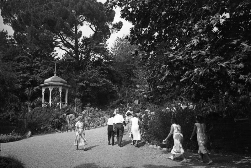 Никитский ботанический сад. Беседка, 1932 - 1939, Крымская АССР, пос. Никита. Выставка «Отпуск одного фотографа» с этой фотографией.&nbsp;