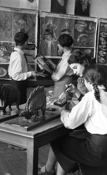 В кабинете зоологии, 1946 год, г. Москва