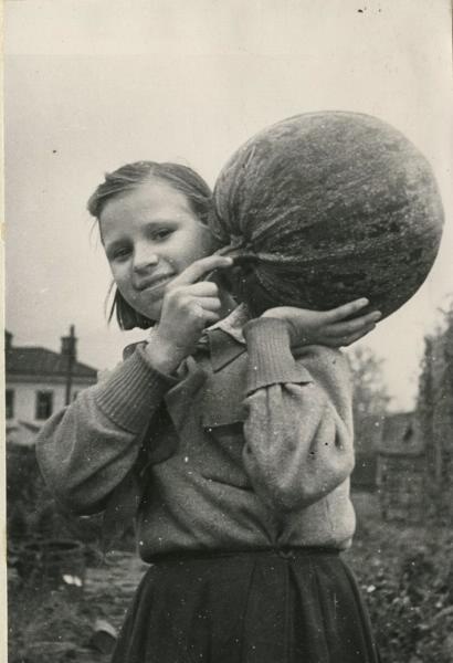Сбор урожая, 1943 год. Выставка «Новый урожай» с этой фотографией.