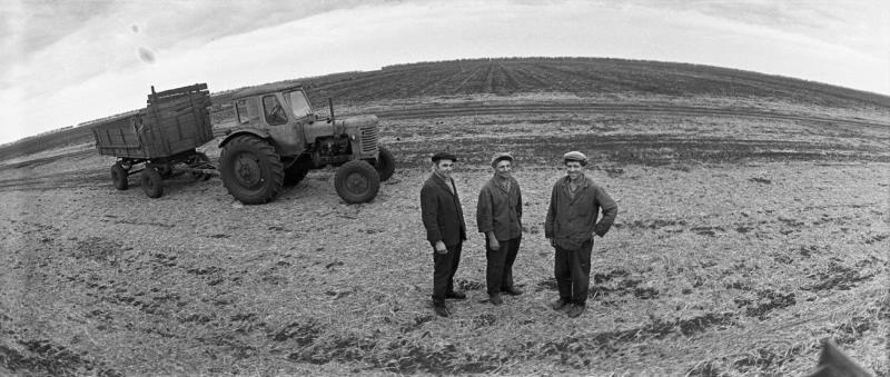 Механизаторы, 1974 год, Воронежская обл.