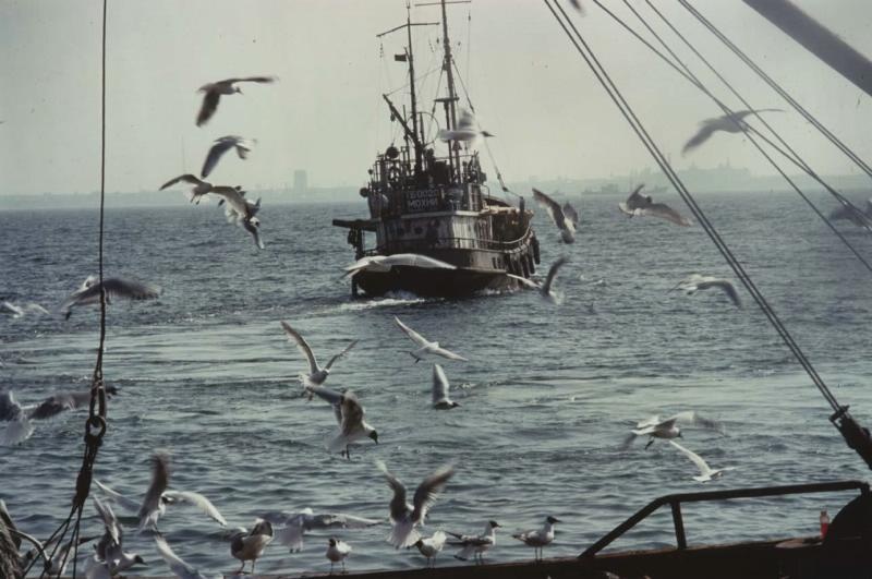 Корабль, 1970-е. Выставка «"Ловись рыбка большая..." Рыболовный бум в СССР» с этой фотографией.