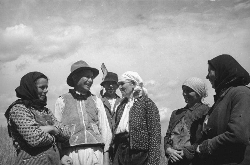 Крестьяне, никогда не имевшие земли, 2 августа 1940 - 31 декабря 1940, Молдавская ССР, Северная Буковина, с. Браскивцы