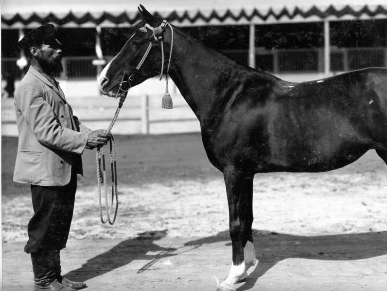 Конь Мануа, 1900-е
