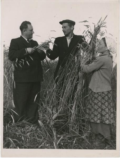 В поле, 1960 - 1963