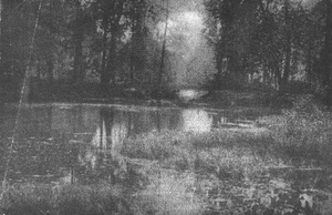 Заросший пруд, 1921 год