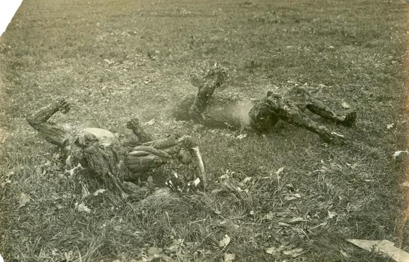 Трупы, сгоревшие на самолете DH.4, май 1923, Московская губ., г. Серпухов