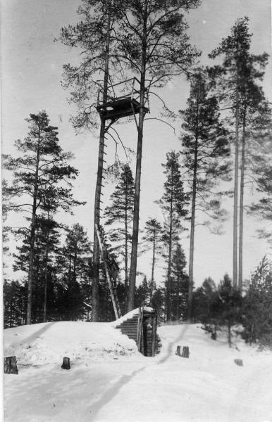 Духовщинский полк. Наблюдательный пункт, 1916 год. 267-й пехотный Духовщинский полк составлен по мобилизации 18 июля 1914 года. Дислоцировался в Новгородской губернии, в Грузино. Осенью 1914 года полк был включен в состав Петроградского военного округа. До октября 1914 года дислоцировался в Охте, затем был направлен на Северо-Западный фронт.