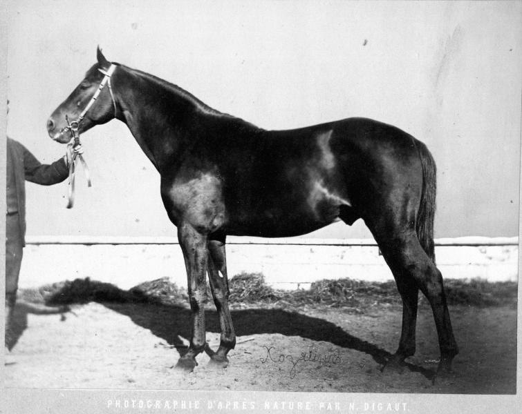 Конь Хозяин, 1870-е