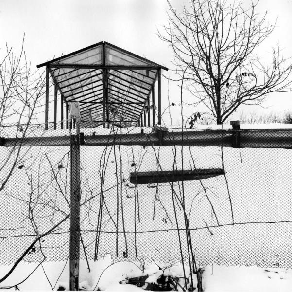 Дачно-снежный, 1994 год