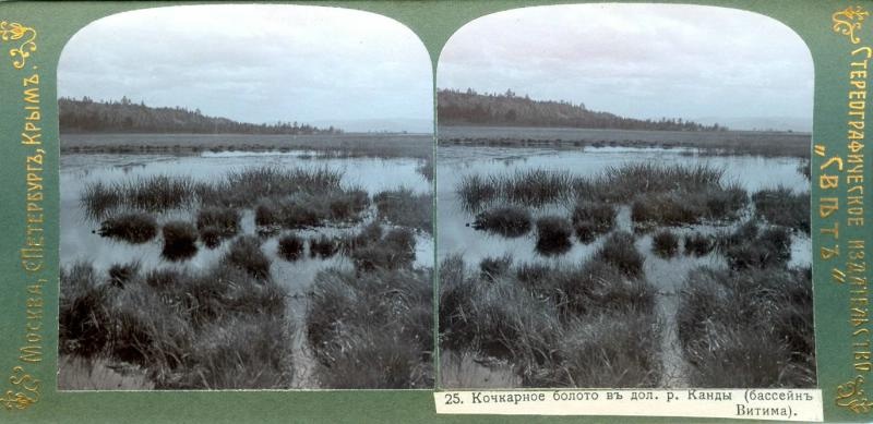 Кочкарное болото в долине реки Канды (бассейн Витима), 1900-е, Забайкалье край
