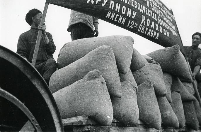 Сдача зерна государству. «Красный обоз», 1930-е, Колхоз им. 12-го Октября