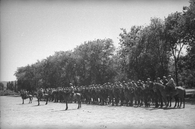 Кавалерийский полк, 1930-е