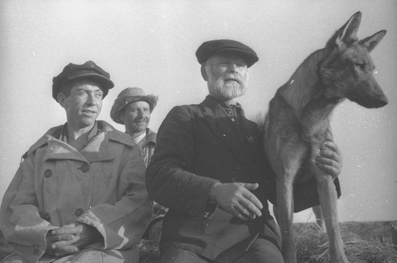 Чабаны с овчаркой, 1938 год, Куйбышевская обл.. Ныне Самарская область.